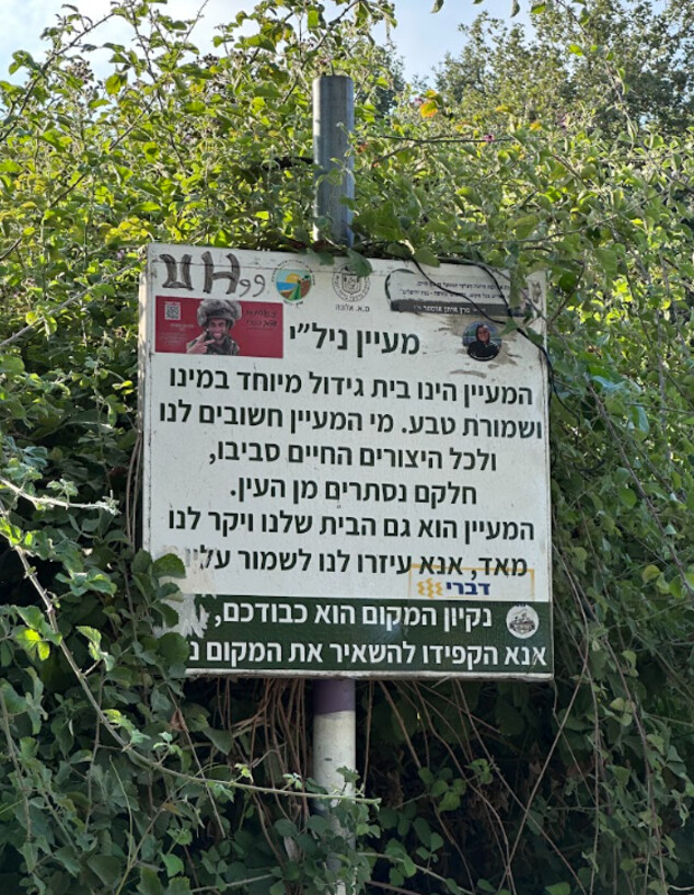 עין ניל"י