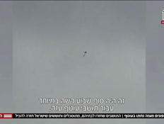 19kites_vtr2_n20260823_v1 (צילום: חדשות)