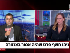 20banim_vtr2_n20260824_v1 (צילום: חדשות)
