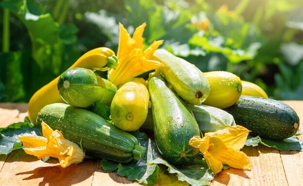 זוקיני קישואים (צילום: shutterstock_Helena_Rich)
