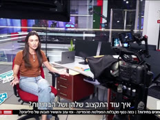 20story_vtr2_n20260825_v1 (צילום: חדשות)