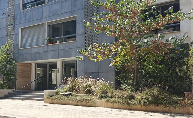 צמח טרנדי זיף נוצה בגינת בניין צמח טרנדי זיף נוצה בגינת בניין