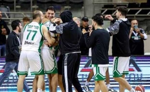 Maccabi Haifa BC - מועדון כדורסל מכבי חיפה (צילום: ספורט 5)