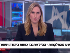 20dvoriyosh_vtr2_n20260826_v1 (צילום: חדשות)
