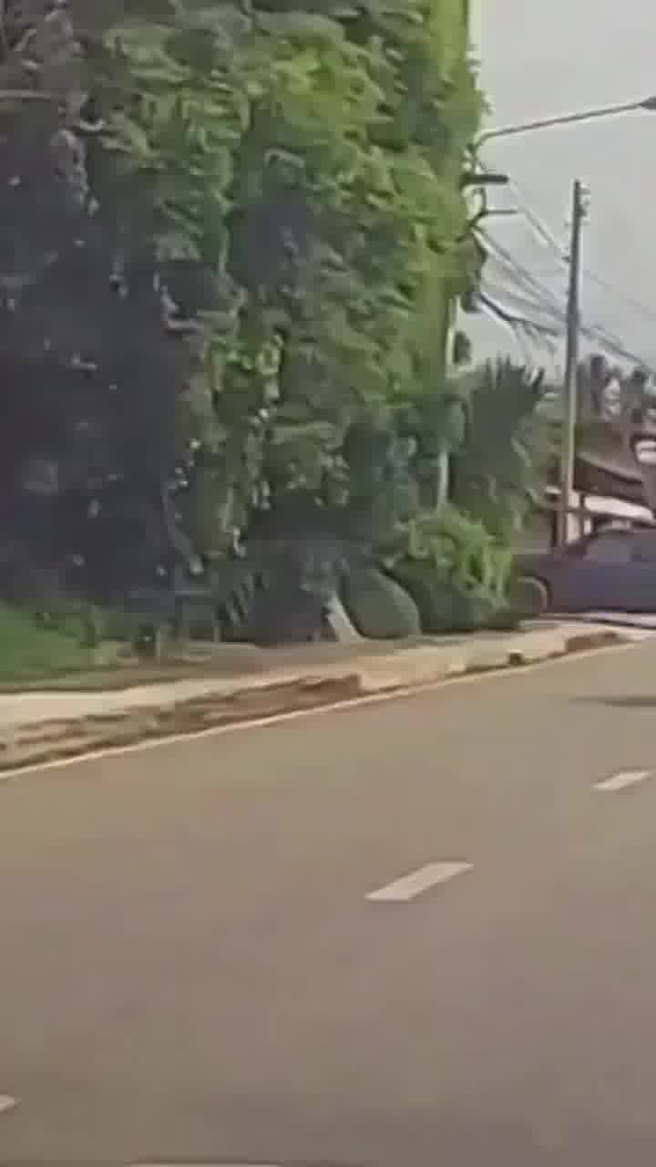 וזאת הסיבה שאתם תולים משולש אזהרה על דברים שבולטים מהמכונית