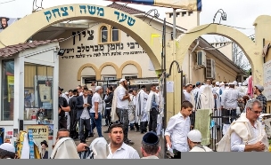 אומן (צילום:  Amateur007, shutterstock)