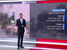 u20mezeg_vtr2_n20260828_v1 (צילום: חדשות)