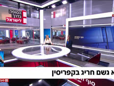 20ilanit_vtr2_n20260829_v1 (צילום: חדשות)