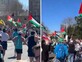 סערה באוסטרליה: קריאות לחקור לוחמים ומשוחררים מצה