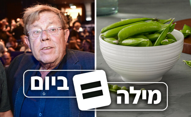 כן, יש כזה. מה הקשר בין צחי נוי לאפונת שלג?