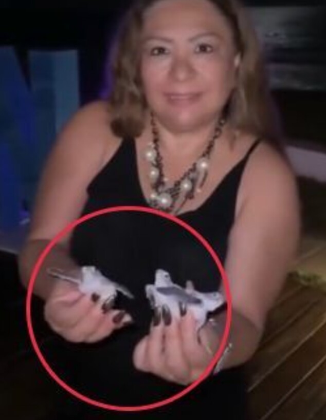 תיירת צבים קנקון מקסיקו