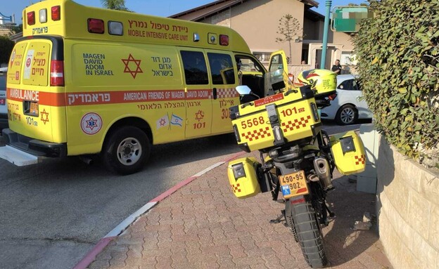 הזירה ביבנה הזירה ביבנה