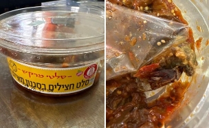 ג'וק בתוך סלט מוכן של סלטי שמיר (צילום: באדיבות הצלם)