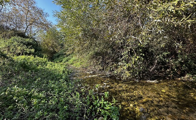 נחל כזיב עין חרדלית 