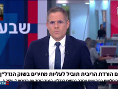 19ribitnadlan_vtr2_n20260903_v1 (צילום: חדשות)