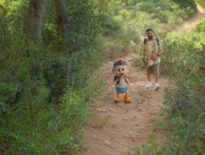 במבה 