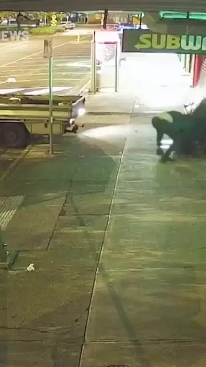 אוסטרליה: שני חשודים ניסו להצית חנות טבק במלבורן, ונדלקו בעצמם בתקרית