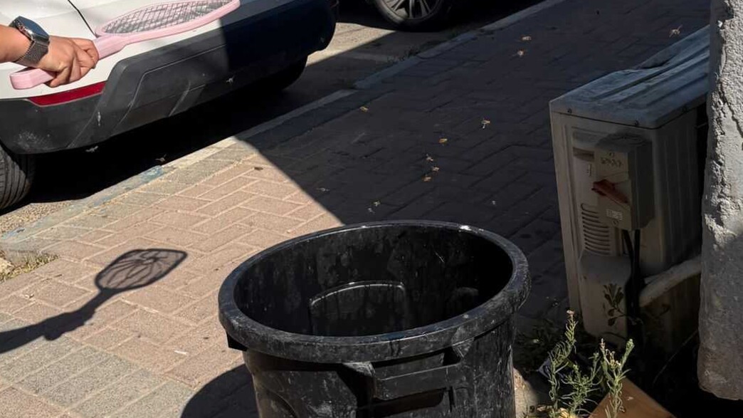 מכת דבורים בבסיס הרודיון