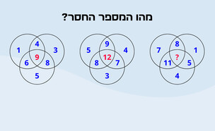 חידת העיגולים (איור: הפרופסור הלא המפוזר)
