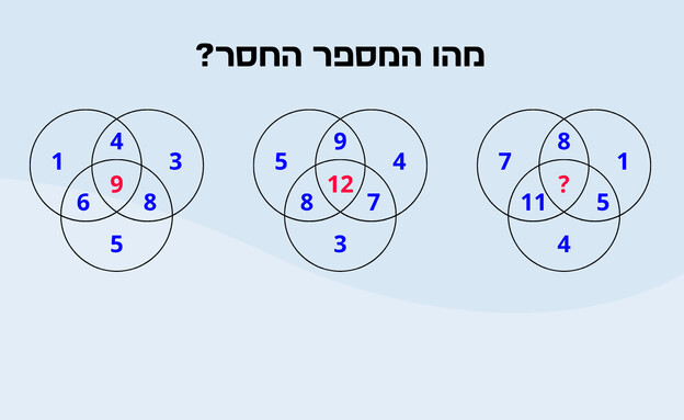חידת העיגולים (איור: הפרופסור הלא המפוזר)