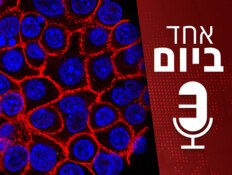 אחד ביום - 01.09.2026