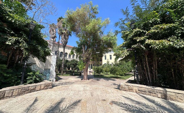 מרכז סוזן דלל נווה צדק תל אביב מרכז סוזן דלל נווה צדק תל אביב
