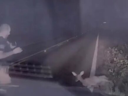  השוטר ניגש לאייל הדרוס — ונבהל כשהוא "קם לתחייה"
