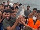 זעם בספרד: פעילי סביבה טוענים שגור דולפין הוכה למוות בידי מהגרים בסאוטה