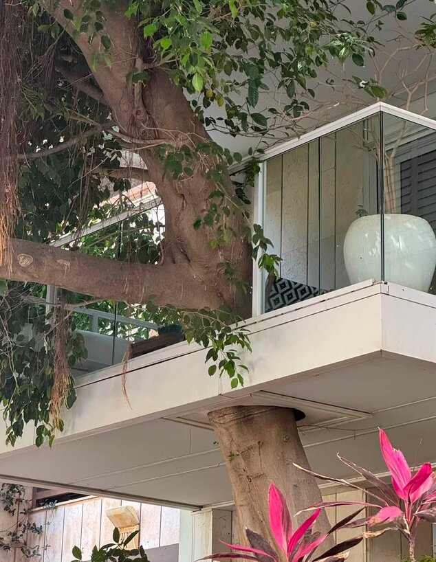 עצים משתלבים ג ג
