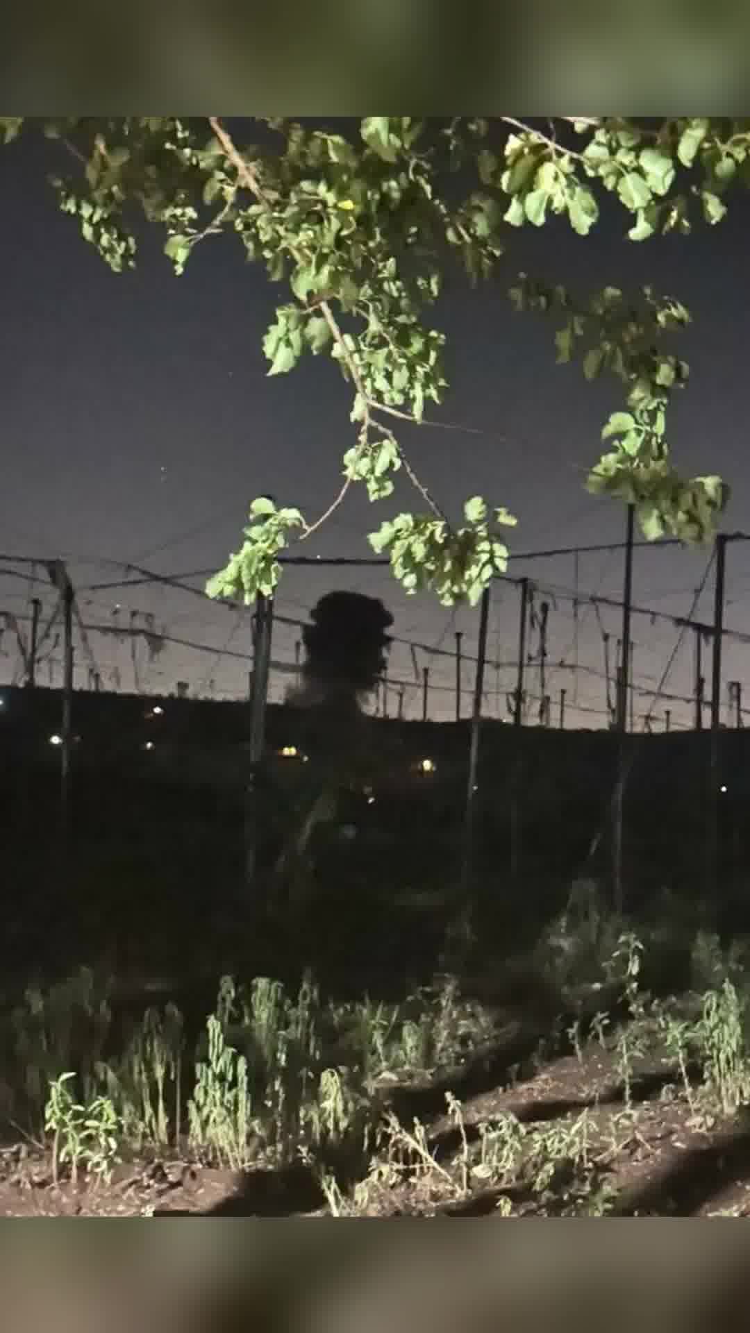 דיווחים בלבנון: גל תקיפות בנבטיה אל-פוקא, אל-קנטרה ואל-מנצורי שבדרום המדינה