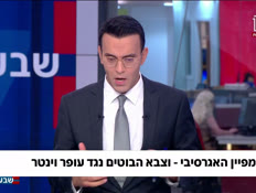 19vinterfake_vtr2_n20260910_v1 (צילום: חדשות)