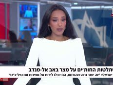 20huthies_vtr2_n20260911_v1 (צילום: חדשות)