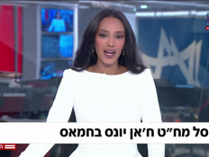 20zahal_vtr2_n20260911_v1 (צילום: חדשות)