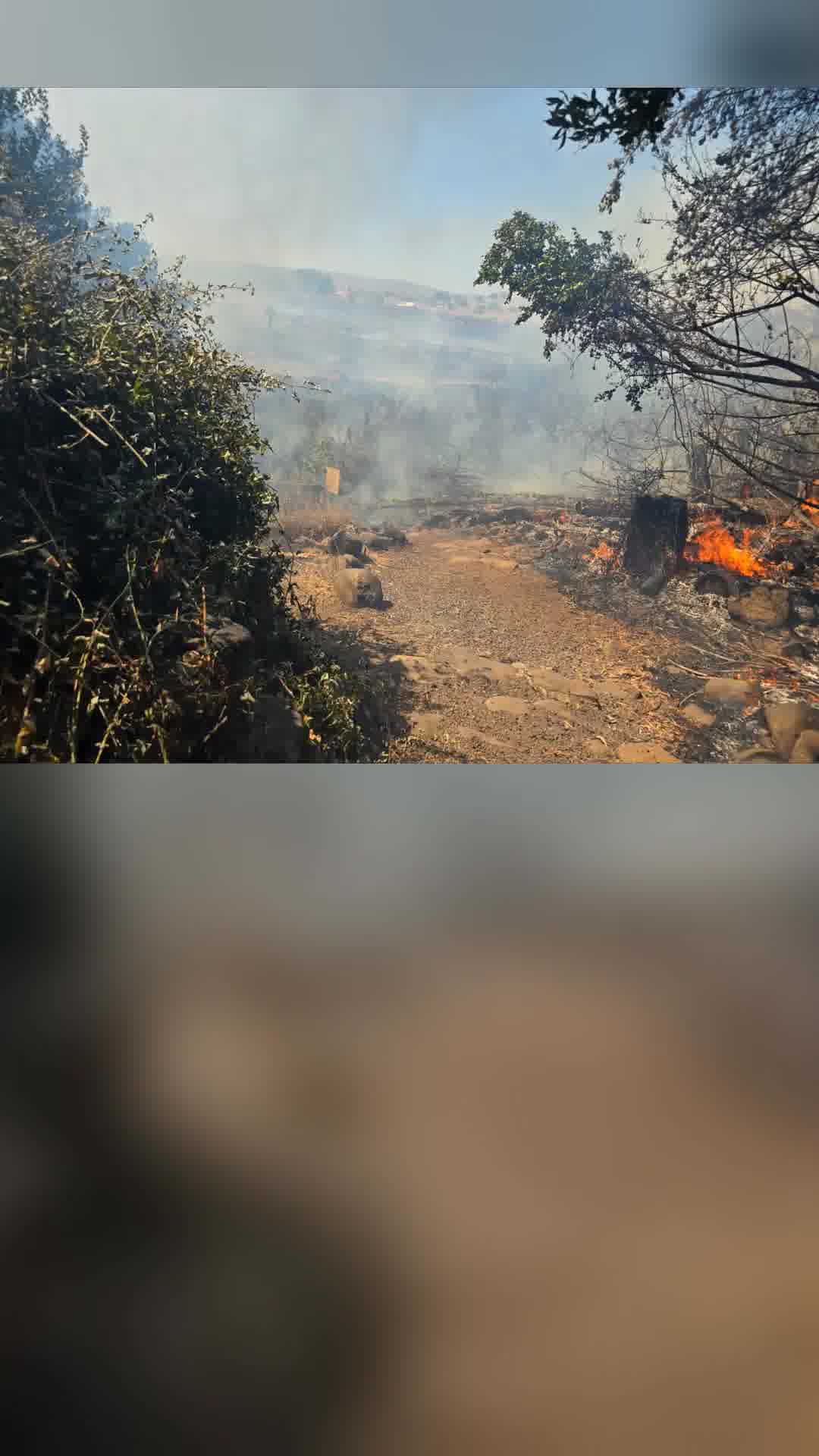 שמורת הטבע תל דן נסגרה עקב שריפה. המבקרים פונו