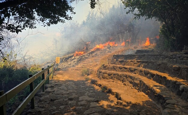 שרפה פרצה בשמורת טבע בצפון, מטיילים פונו