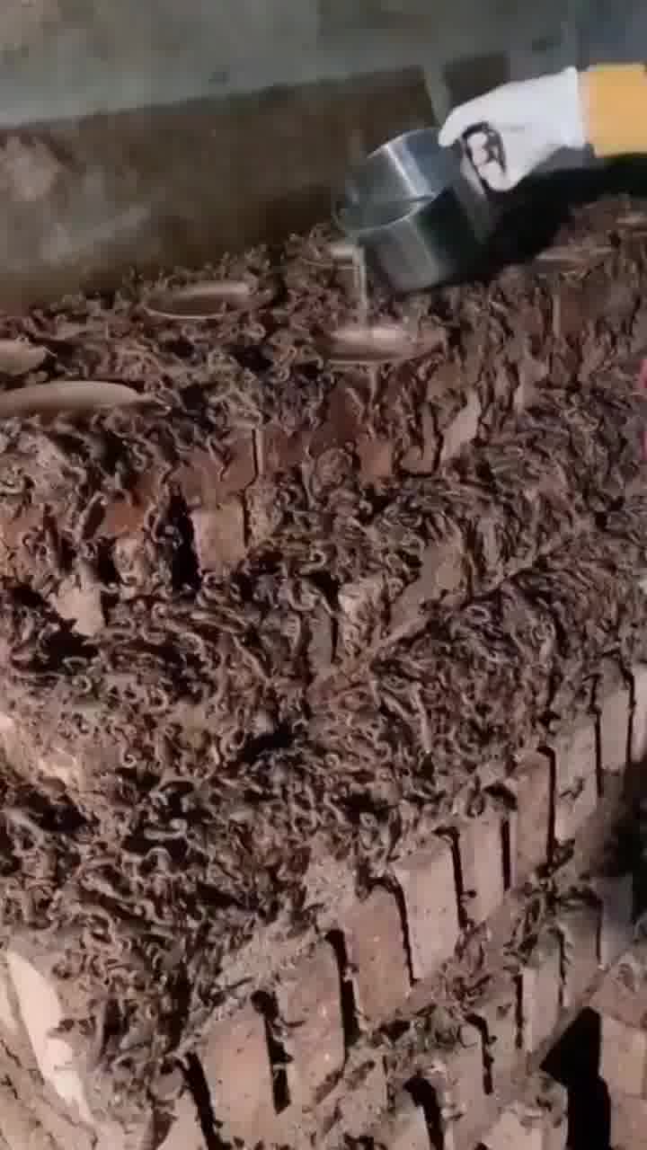 עבודה מועדפת: כך זה נראה בחוות עקרבים במזרח הרחוק