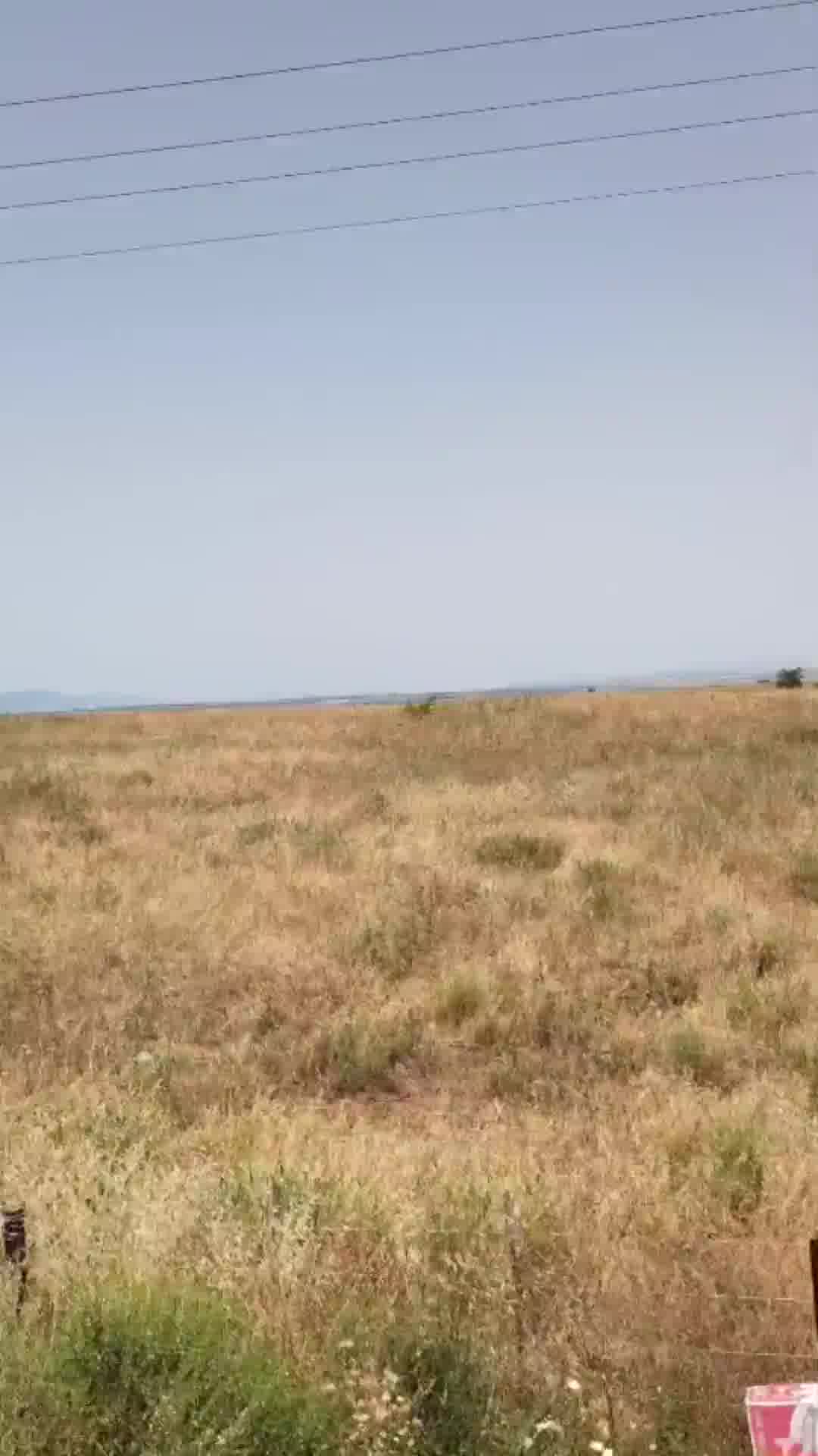 היום תחול עלייה בטמפרטורות והן יהיו גבוהות מהרגיל. מחר לא צפוי שינוי ניכר וכך גם ביום רביעי