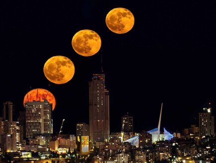 שוות 1,000 מילים: אלה התמונות הכי יפות שצולמו השנה