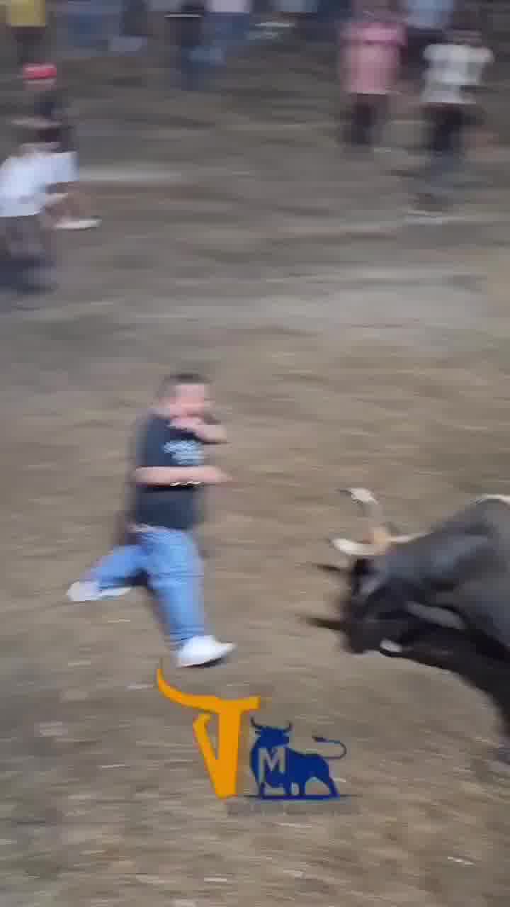 מי שמתעסק עם השור, חוטף את הקרניים