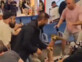 עשה טעות: צעק 