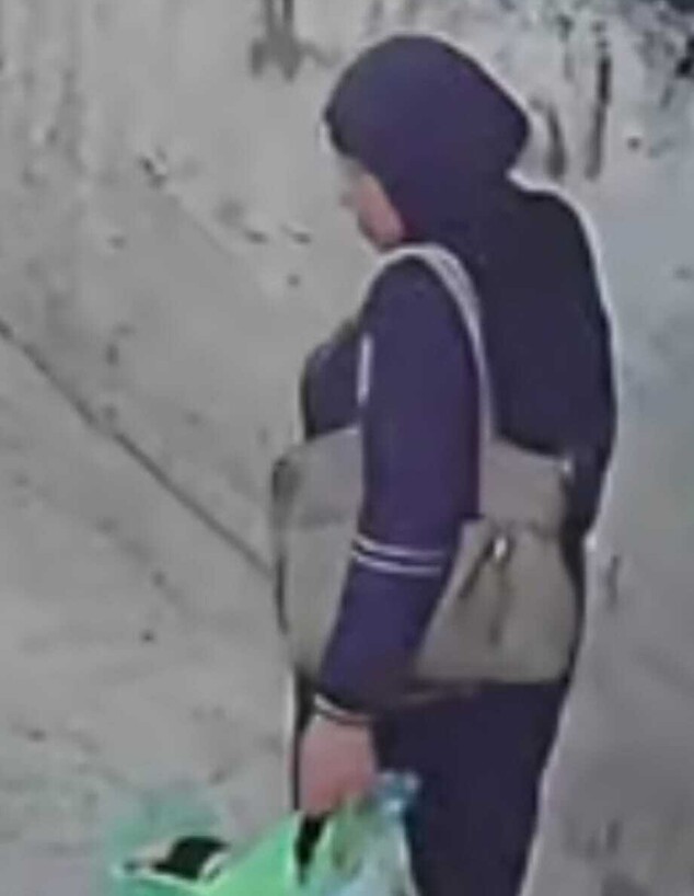 פאטמה רג'בי הנעדרת מירושלים פאטמה רג'בי הנעדרת מירושלים