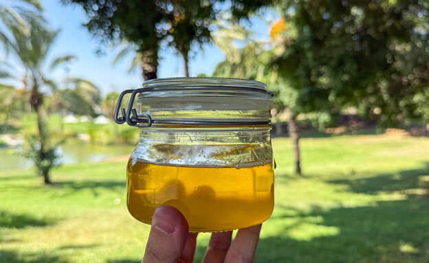 קובנה עם סמנה אורגינל