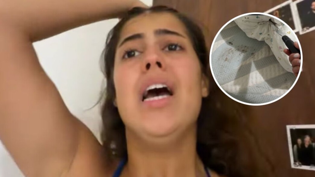 מרים סגל מרים סגל