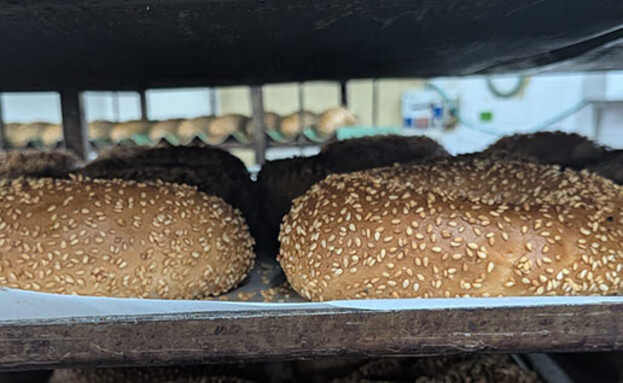 שישי בייקרי שישי בייקרי