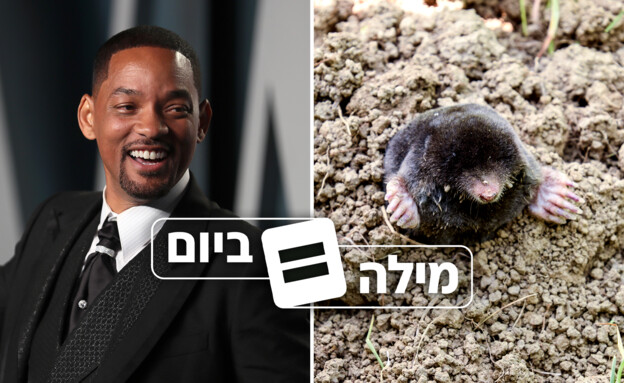 כן, מצאנו כזה. מה הקשר בין וויל סמית' לחפרפרת?