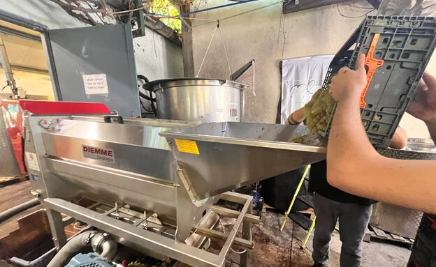 מכינים יין יקב שורק מטה יהודה מכינים יין יקב שורק מטה יהודה
