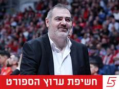 (אלן שיבר)