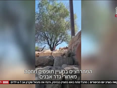 20nirvtr_vtr2_n20260921_v1 (צילום: חדשות)