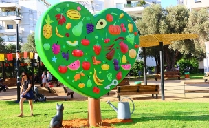 הטיילת של איילת 5 (צילום: ליאור בר סימן טוב)