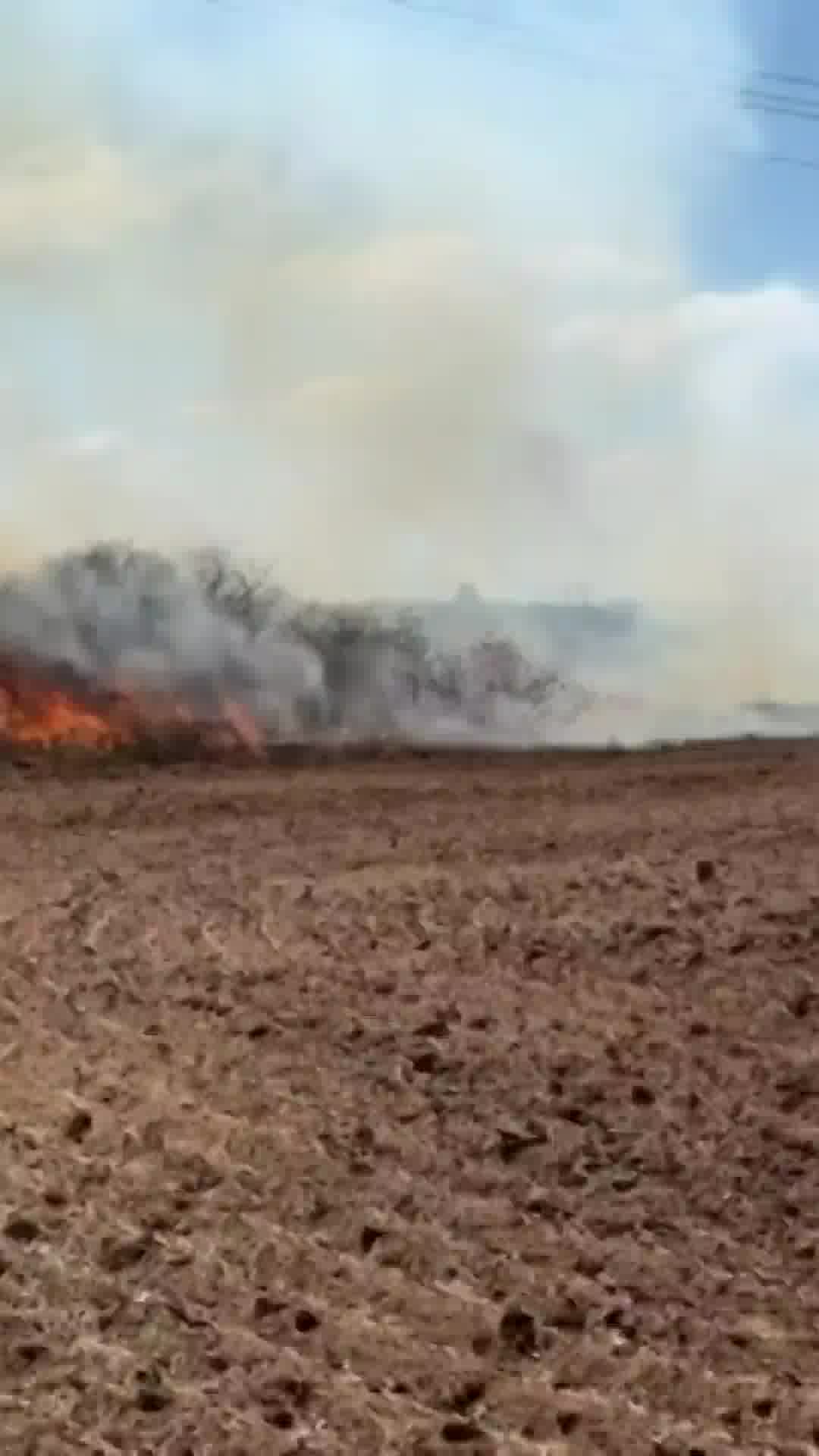הקוצים עולים באש: שריפה פרצה בשטח פתוח בין חדרה לאליכין, לוחמי כיבוי והצלה פועלים במקום